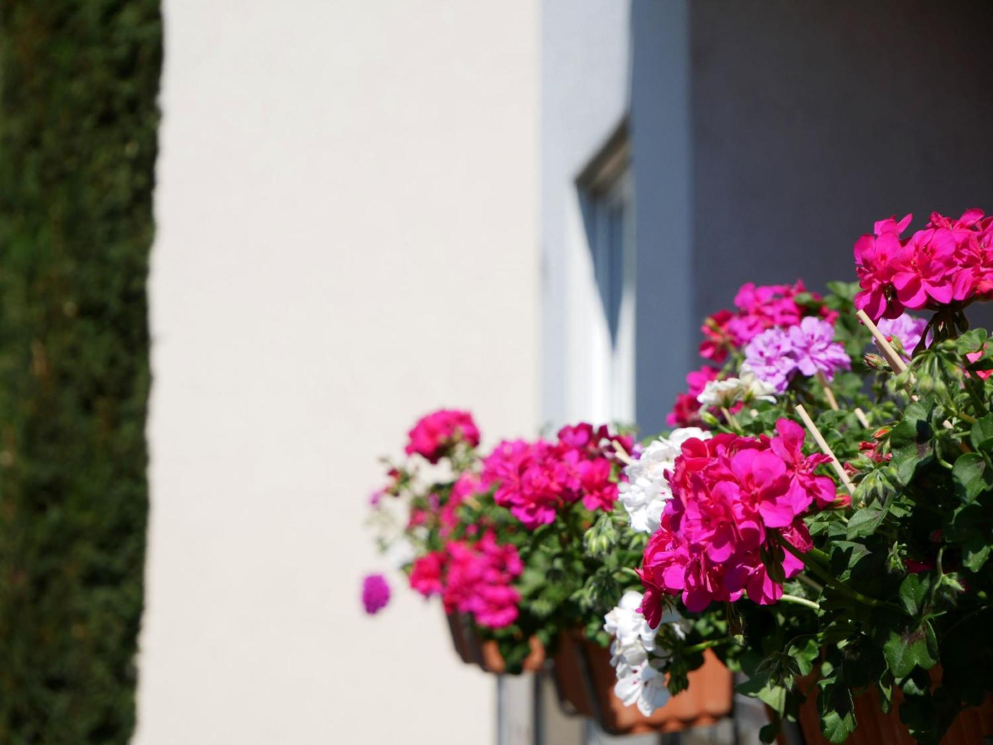 Ferienwohnung Walter Ringsheim Esterno foto